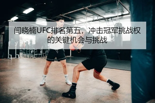 yan-xiao-nan-pai-ming-di-wu-chong-ji-guan-jun-tiao-zhan-quan-de-guan-jian-ji-hui-yu-tiao-zhan-2-678.jpg